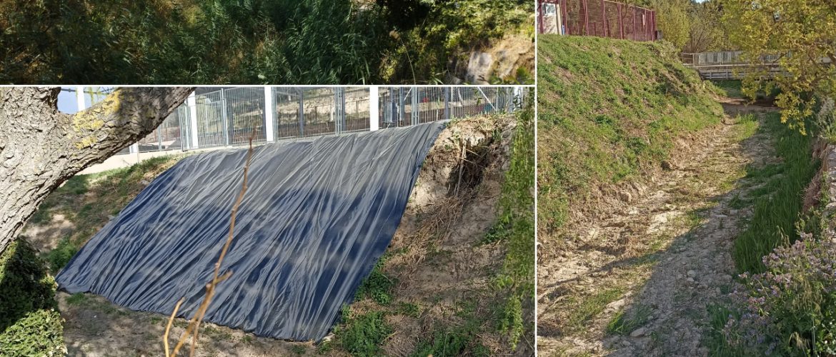 Castellolí Creek - Maintenance and Restoration